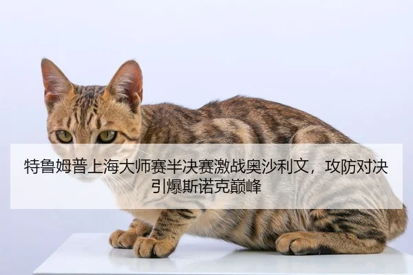 特鲁姆普上海大师赛半决赛激战奥沙利文，攻防对决引爆斯诺克巅峰